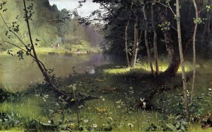 Forest river
